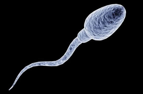 ��ѧ�ұ�ʾ����������ɽ����Ծ�Һ����������ʳ�