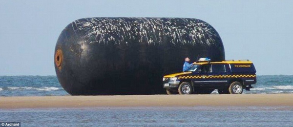 Ӣ����̲���־��ʹ���������