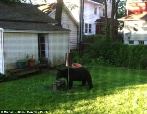 �����������ݵ����ؿ�����������20������û���ܳ�û���ټ�