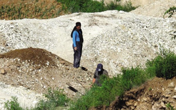 几名男子正在盗挖化石