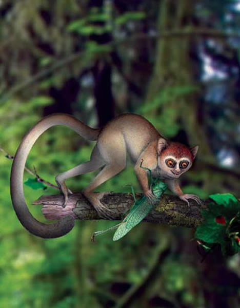 阿喀琉斯基猴复原图(倪喜军供图)