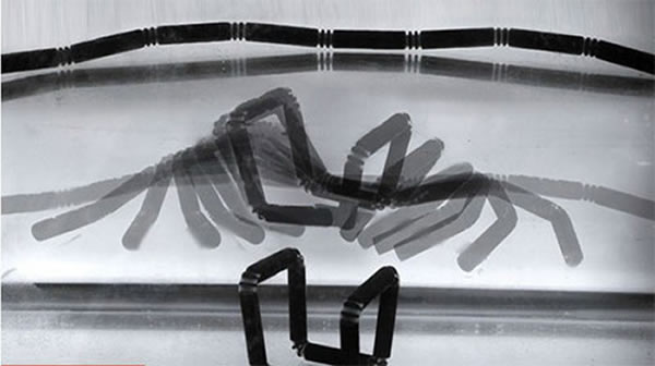 ��ѧ���������Ƶ�һ��4D��ӡ���ϰ�����绷�������仯���Ա���