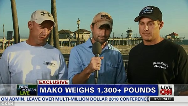 美国渔民捕捉最大短鳍灰鲭鲨受到保护动物人士强烈谴责