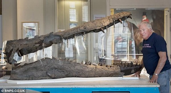 最新发现的远古海怪新物种被称为“科万上龙”,是一位化石爱好者花费5年时间收集完成