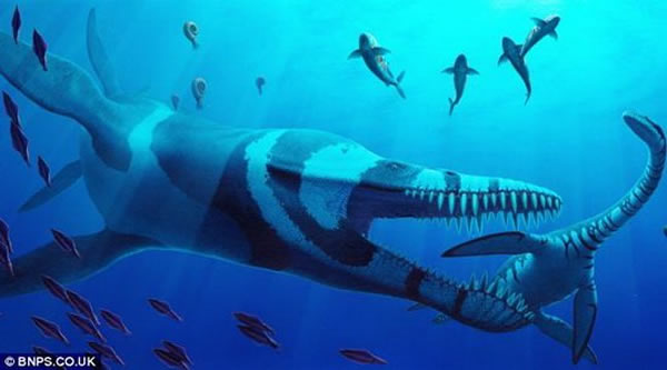 英国科学家称这是一种上龙新物种,认为它具有地球史上最强的咬力