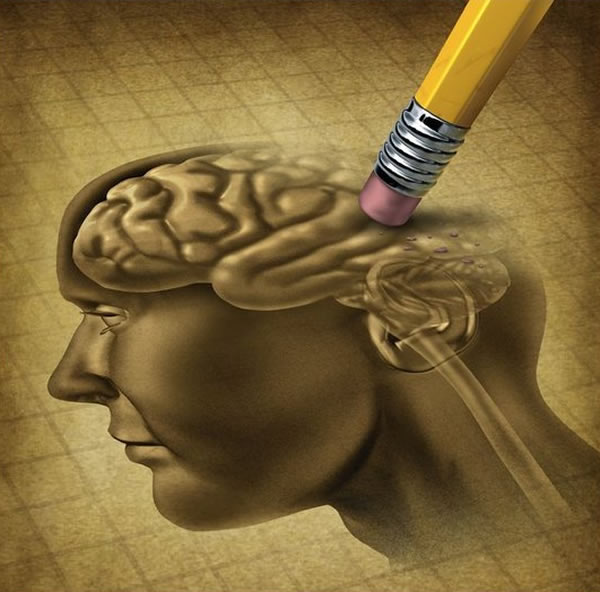 人类的智力正在发生着怎样的变化?