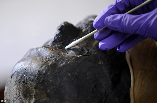 2500年前木乃伊出棺清洗和修复过程