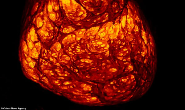 摄影师近距离拍摄夏威夷卡拉帕纳火山爆发