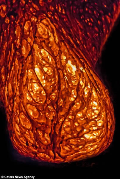 摄影师近距离拍摄夏威夷卡拉帕纳火山爆发