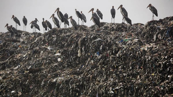 ������֮��