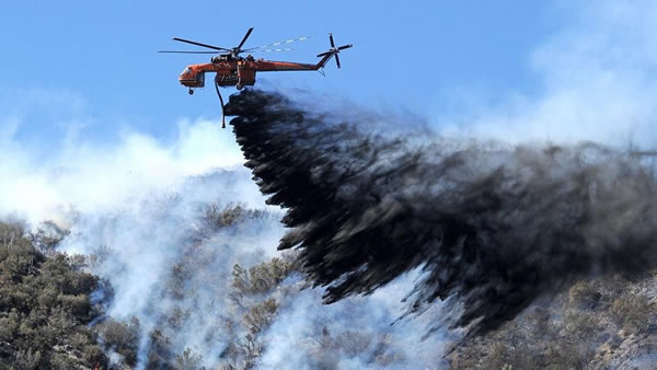 ���п���