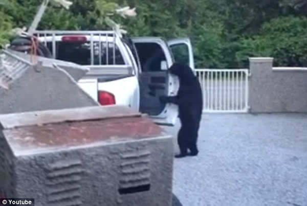 ���ô�һֻ��������������