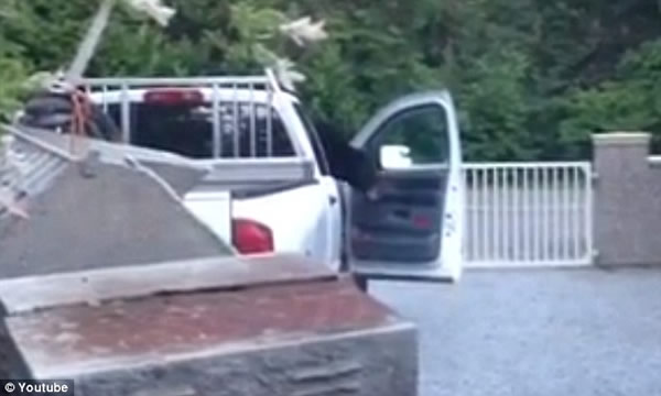 ���ô�һֻ��������������