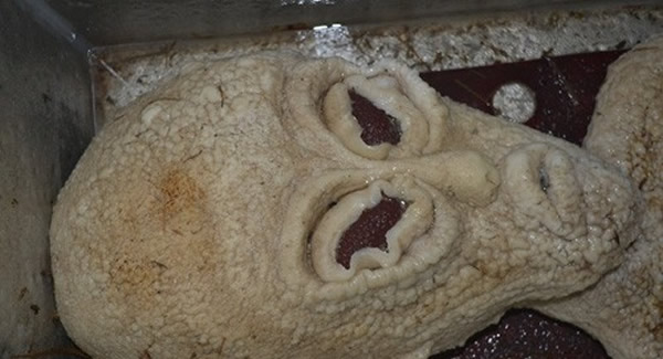 “外星人”头部?