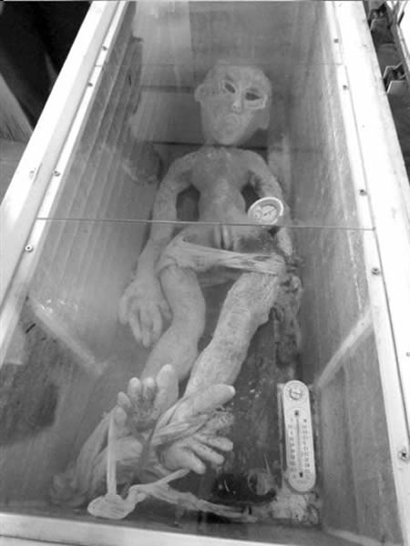 山东滨州男子称此为其电死的“外星人”