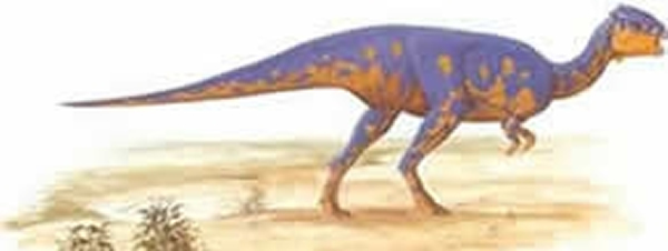 岩寺皖南龙(Wannanosaurus yansiensis)