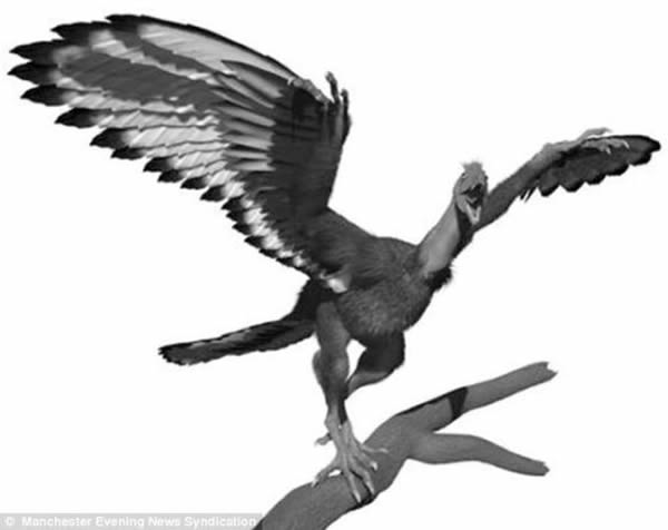 ��֪���������ʼ����ĸ�ԭͼ���»�ѧ����������ѧ�һص���ȥ���˽�ʼ������ܵ���ò������������ǰ���޷������