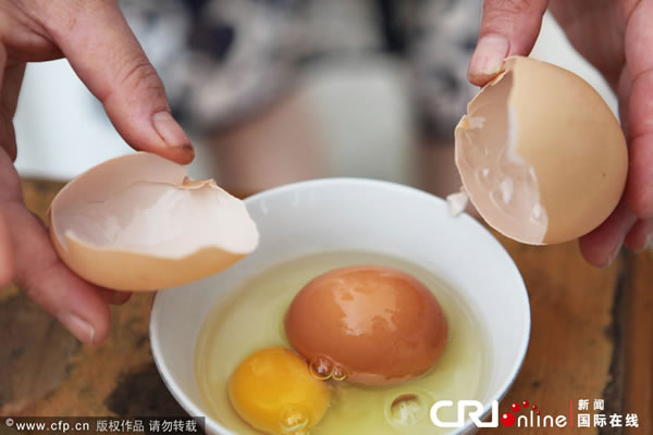 �㽭��һֻĸ�����µ��е�