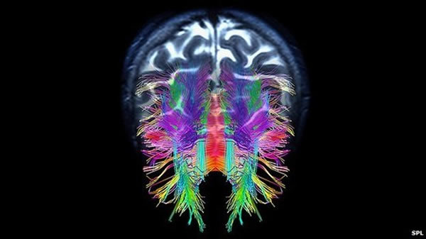 �о���Աϣ��ͨ������һ�����ԣ���������˽���ʲô�����Ǳ�����ת��