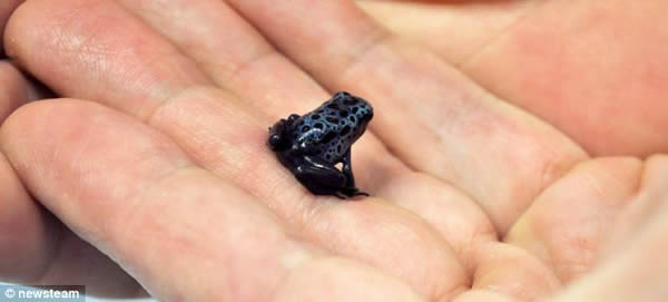 Ӣ��һ����ѧ�ɹ�����ϡ����������