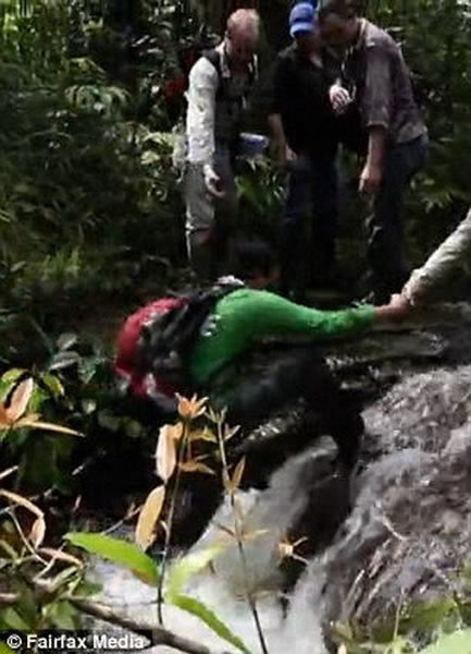 考古小组历经各种险阻,最终发现遗失在丛林之中的古城