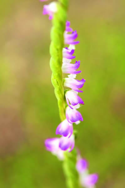 �Ϻ��������ơ��ݸ���緲�