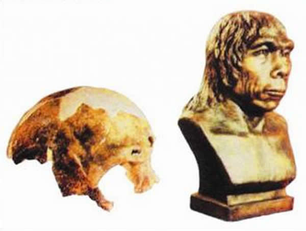 丁村人头盖骨化石