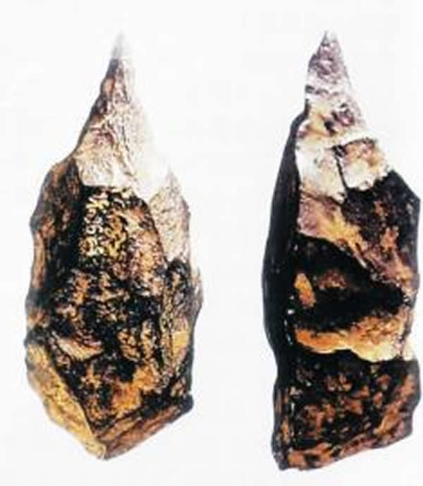 丁村出土的石器