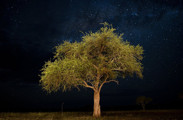 坦桑尼亚辛吉塔格鲁梅蒂保护区