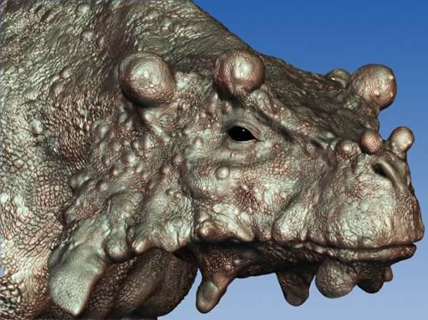 “pareiasaur Bunostegos”的复原图。这是一种体型似牛,草食性爬行动物,生活在大约2.5亿年前的盘古大陆中央地带沙漠之中