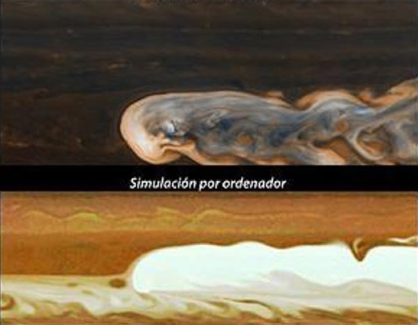 ᡱ̽ľͷ籩ͼ񣬿ѧҶγɻƽ˼ģ