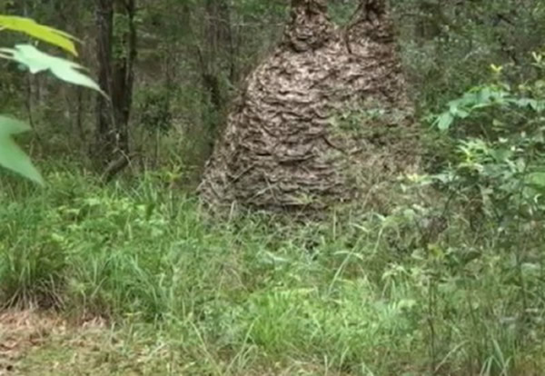 �������־޴��٪�޼ͷ䳲