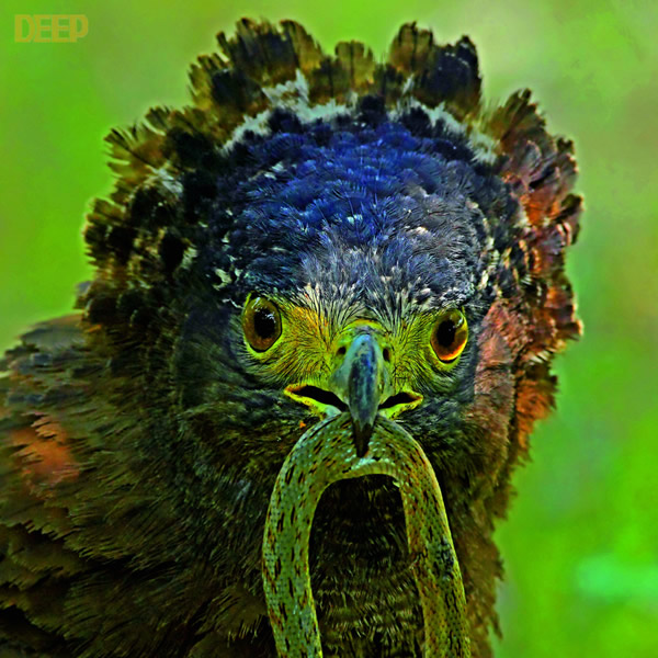 �������ݴ�ս����