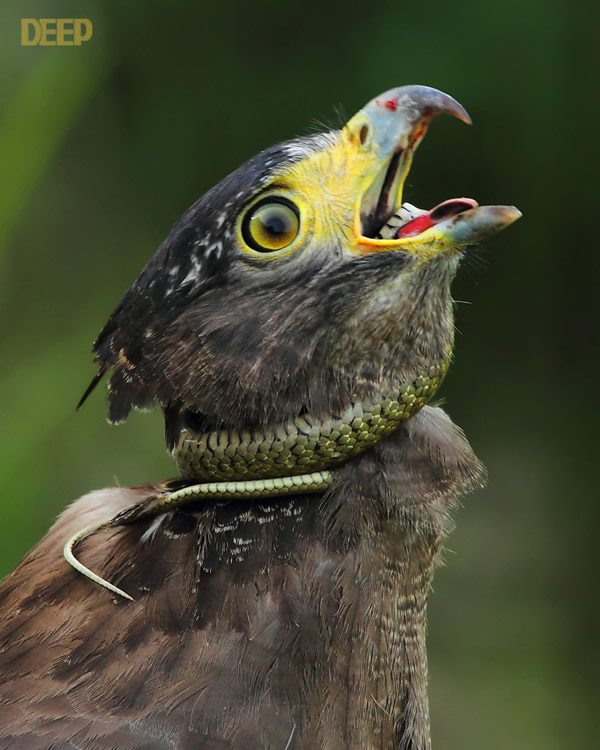 �������ݴ�ս����