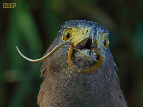 �������ݴ�ս����