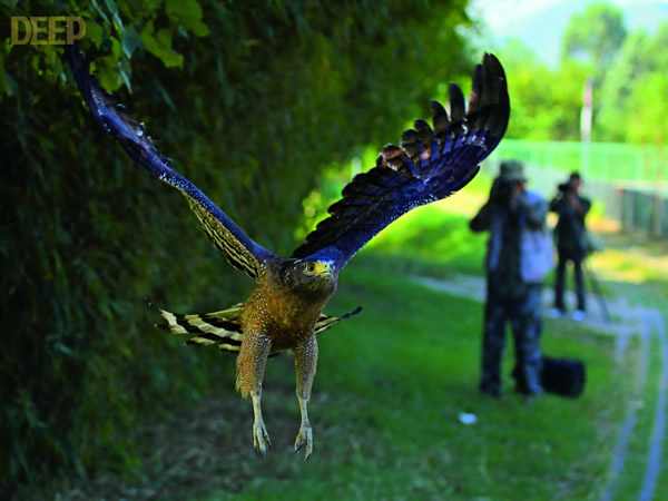 �������ݴ�ս����