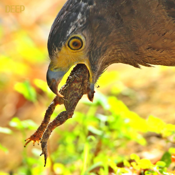 �������ݴ�ս����