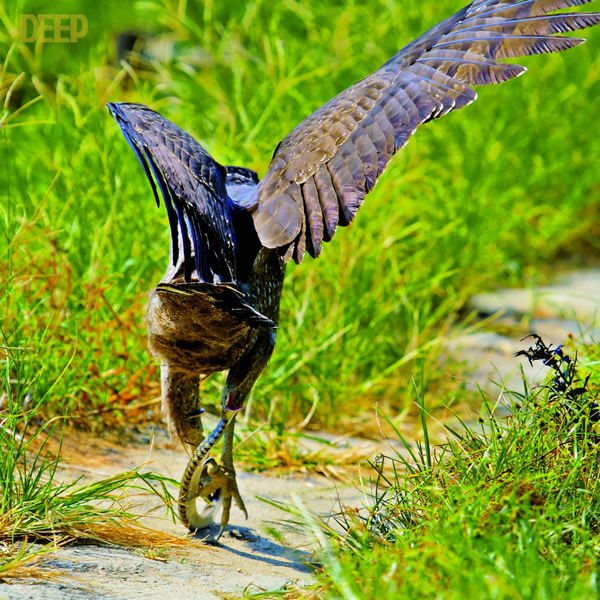 �������ݴ�ս����