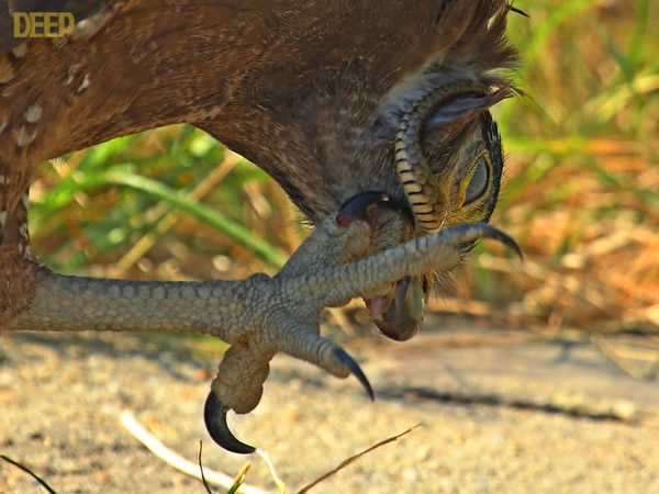 �������ݴ�ս����