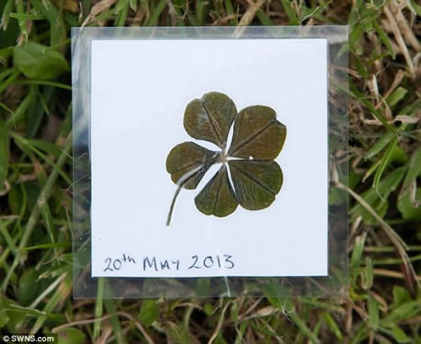 发现这朵罕见的五叶草后,这名女学生让妈妈凯伦用贴膜机把这朵幸运花保存起来,还在它上面注明发现日期。