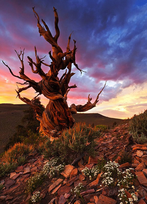 ����������ϵĵ����֣�5000��ǰ�Ĵ���غ�β��