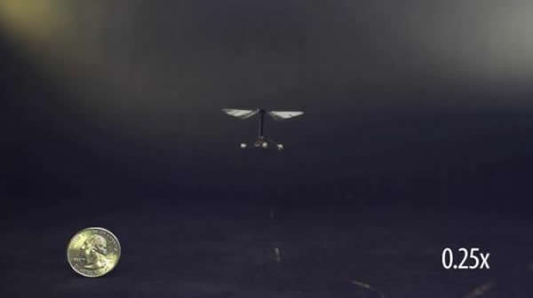 ��ѧ�����Ƴ��׸�������Ӭ