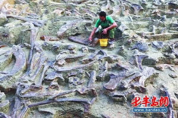 诸城恐龙涧与化石打交道的人