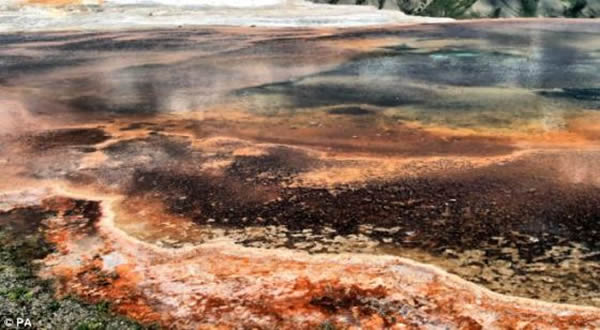 ��ѧ����Ϊ������̫�����£�����󲿷ֵ��������������������������ݻ�ʯ���ҹ�԰���ϼ�ЪȪ��ص�����һ�����о���ʾ��������10�����ڣ����ж�ֲ�ﶼ��ӵ�������ʧ��