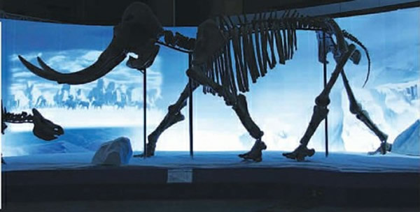 �����󸴻��޷���ת�������ʵ�������ִ�������Ҫ