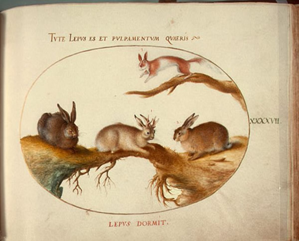 �������ֿ��ƴ�˵�С�¹���á���Ұ��