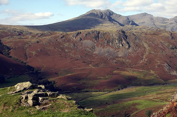 英格兰最高峰竟然发现深海章鱼尸体