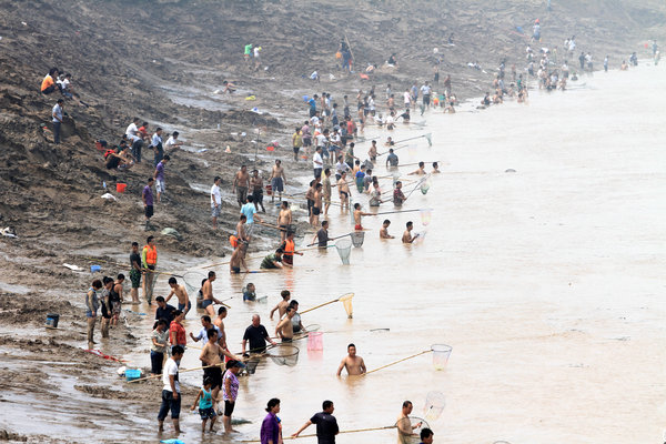 河南三门峡大坝黄河调水调沙,众多群众在黄河边捞鱼