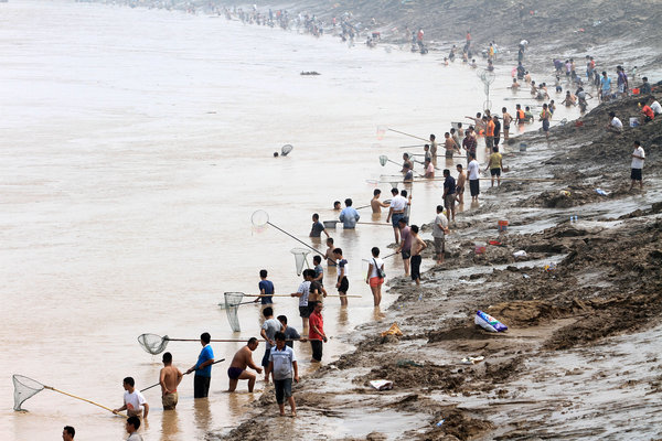 河南三门峡大坝黄河调水调沙,众多群众在黄河边捞鱼