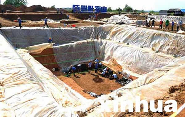 ��������Ҷ��ɽĹ�ط��ֱ���������500����ı���